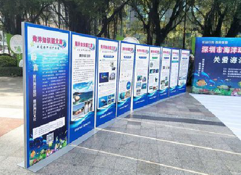  大英KT板的种类和知识。